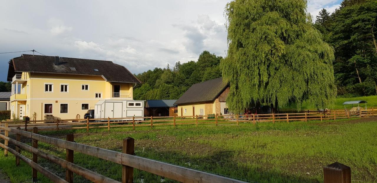Апартаменты Haus Seidendorf Санкт-Канциан Экстерьер фото